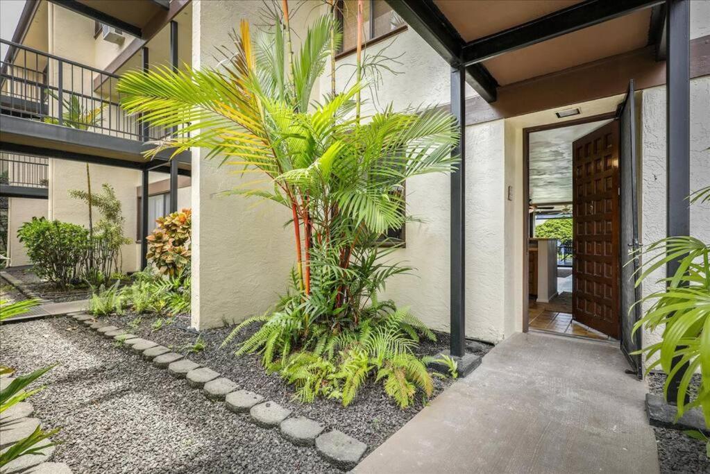Apartment Beautiful 2/2 In Kona. Ocean View!