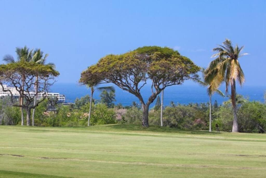 Beautiful 2/2 In Kona. Ocean View! Apartment *